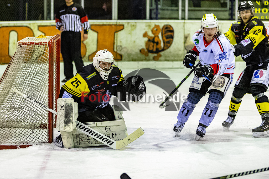 C1DX2332 | Shop für Sportfotografie, Bilddatenbank, Pressefotografie, Fußball, Eishockey, Aktionsfotos