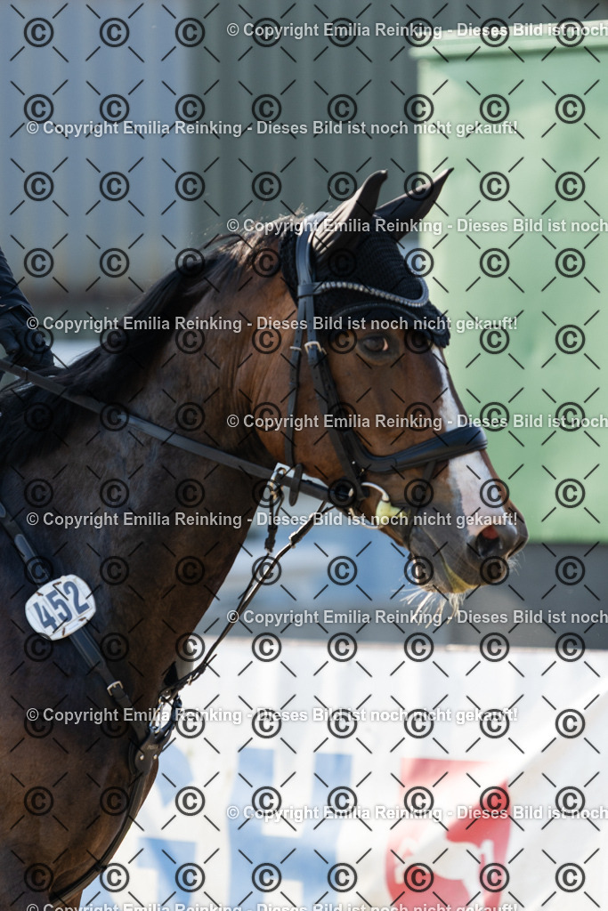 CL5A2277 | Emilia Reinking Fotografie - Realisiert mit Pictrs.com
