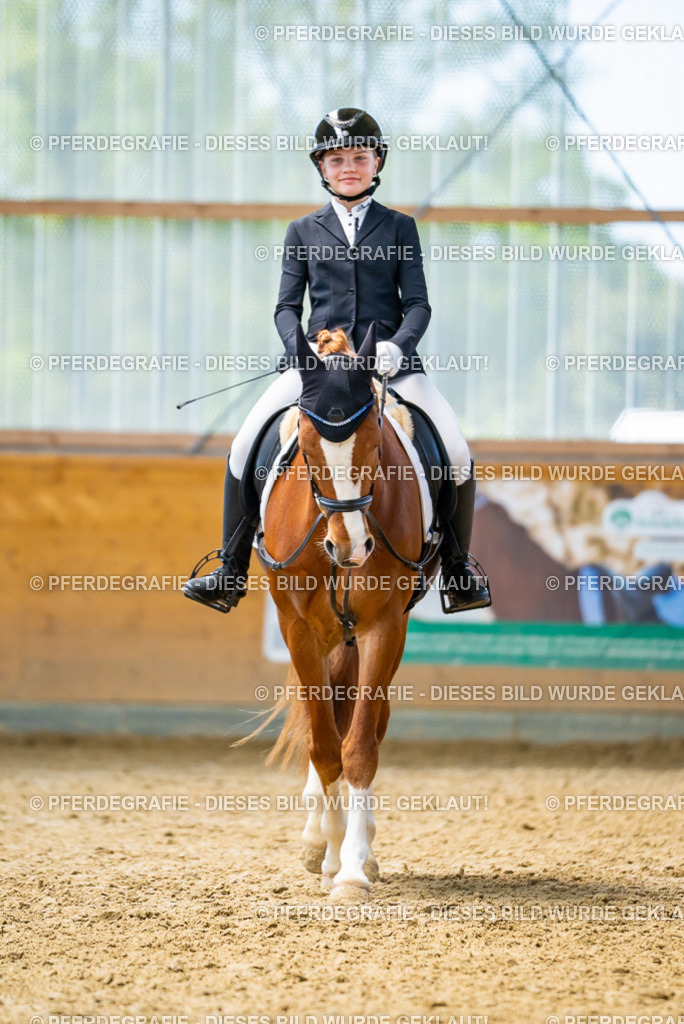 DSC09571 | Pferdegrafie