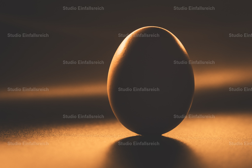 Goldene Stunde – Ei im Sandlicht | Ein Ei steht im streifenden, goldenen Licht auf sandigem Grund und wirft einen langen, weichen Schatten. Warme Töne und feine Struktur geben dem schlichten Motiv Tiefe und Eleganz. Zeitlose Reduktion für alle, die ruhige, edle Bildsprache lieben. Als Fine-Art-Print und Wandbild in verschiedenen Größen erhältlich. - Realisiert mit Pictrs.com