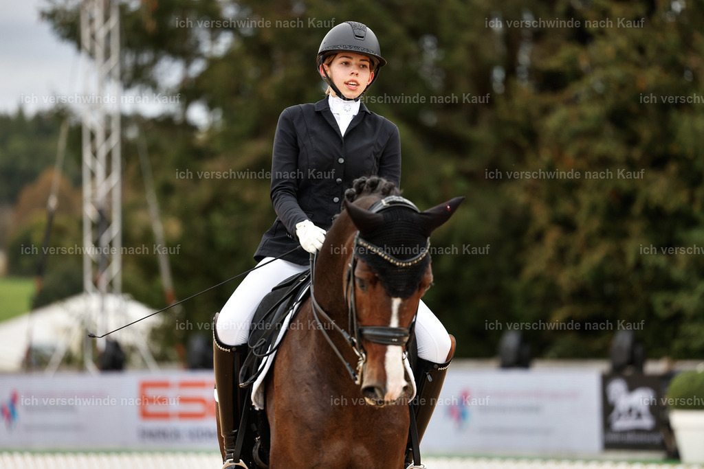 3-224-Dressur M_-StoibPH-2535 | working equitationturnier fotograf videograf stoibphotography marixx film working equitation deutschland reitsport turnierfotografie eventfotografie equestrian events