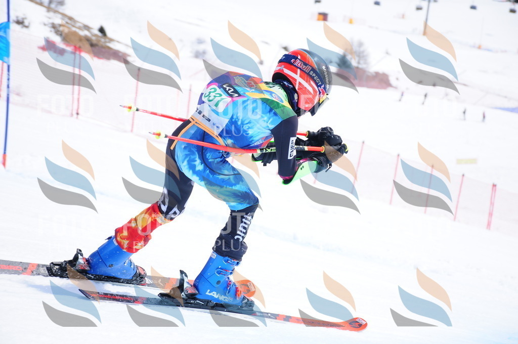 DSC_3194 | holidayphoto