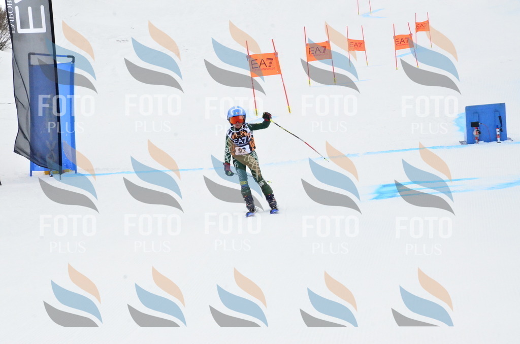 _ELE3504 | holidayphoto