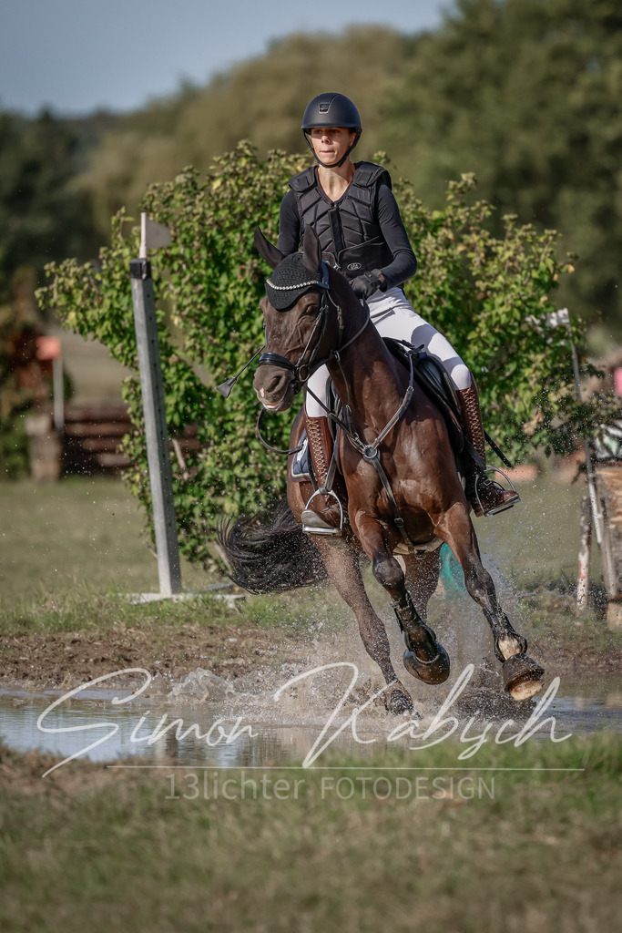 20250907-_3LI9132 | Tierfotografie Pferde, Hunde, Katzen, Haustiere.
Turnierfotografie Reitturniere, Reiten, Springreiten, Dressur in Hanau, dem Main-Kinzig-Kreis und dem Rhein-Main- Gebiet um Frankfurt