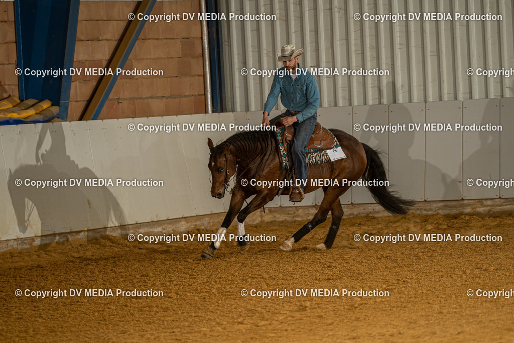 MIT01300 | dv-media-shop - Realisiert mit Pictrs.com