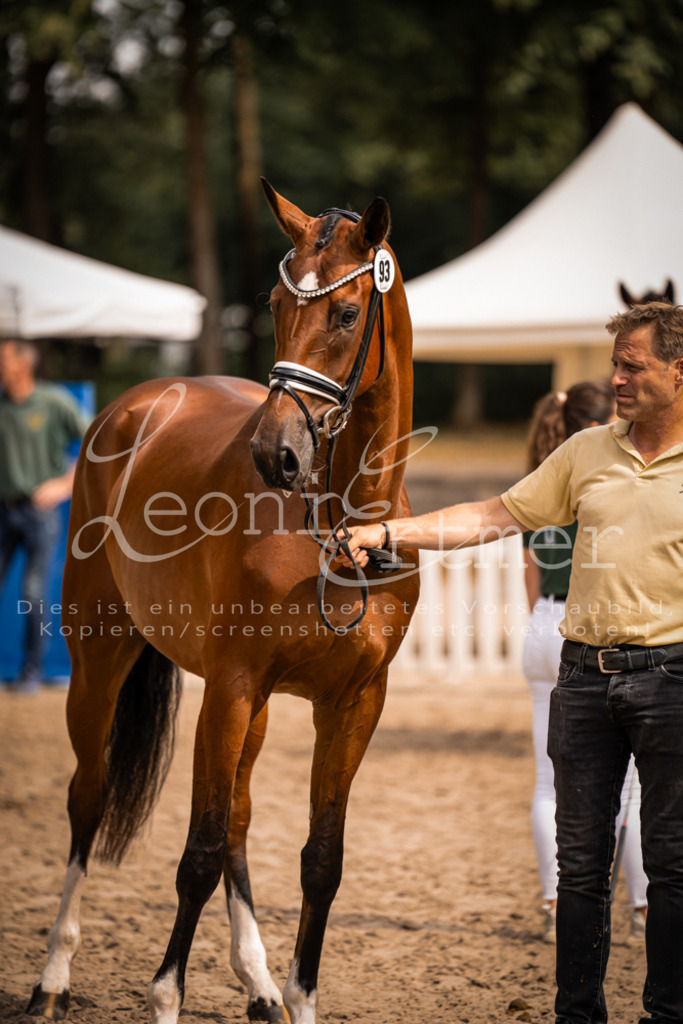 6.Fr00159 | Leoni Ertmer Photography - Realisiert mit Pictrs.com