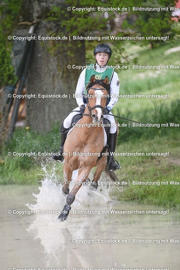 20250517_CCI1_Gelände_0945 | Foto: Thomas Hartig