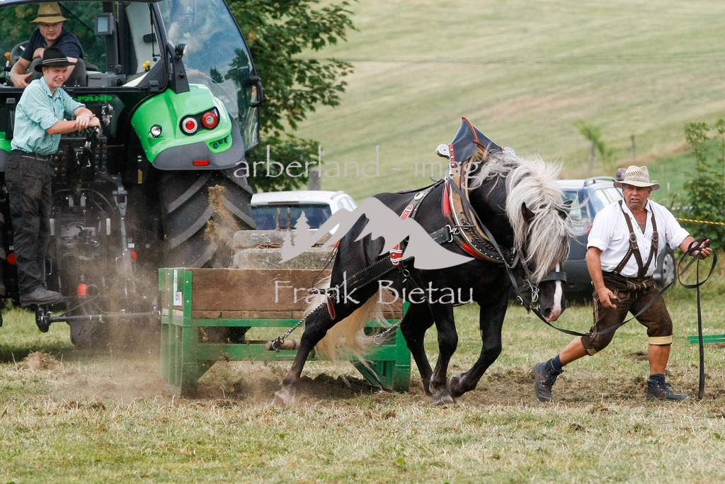 15082015-fb-6298 | Leistungsziehen in Poschetsried 2015