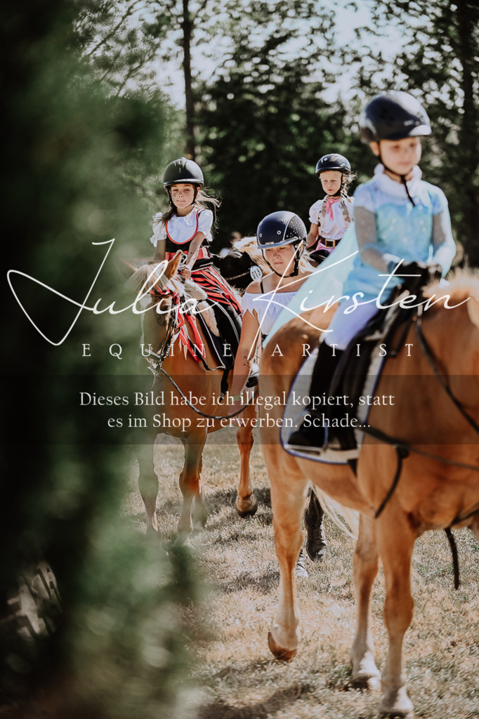 DSC_8985 | Pferde- und Turnierfotografie in Westsachsen. Pferdeportraits, Auftragszeichnungen und intuitive Kunst.