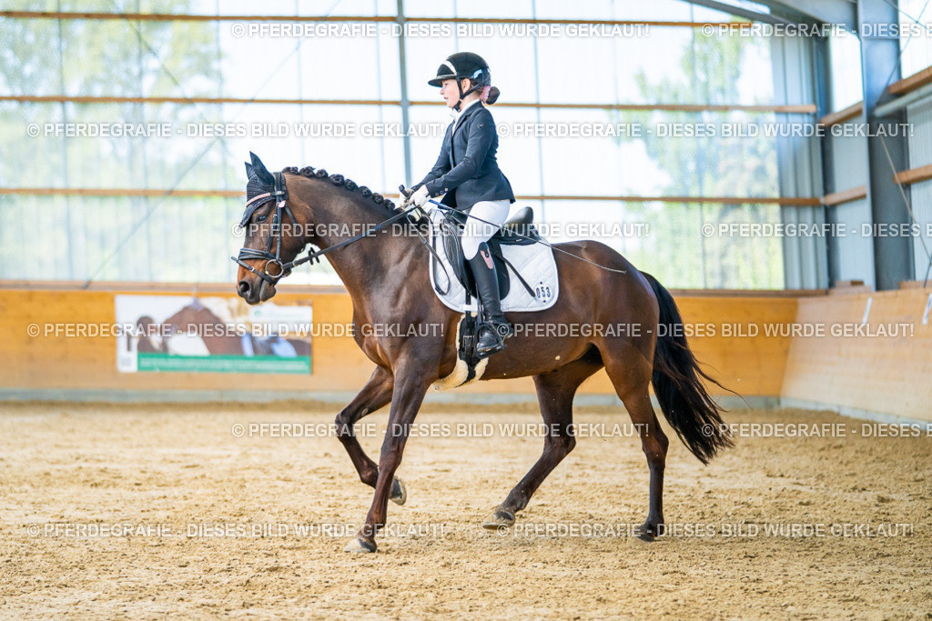 DSC07272 | Pferdegrafie