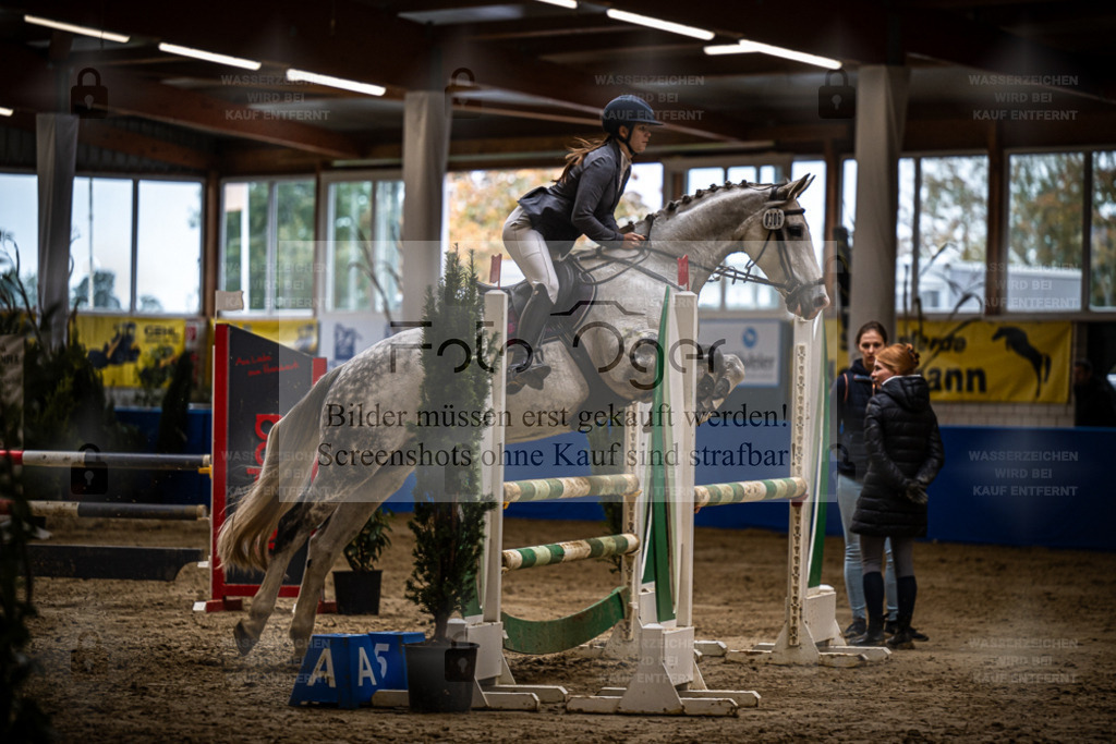 DOS_2800 | Entdecke hochwertige Reitturnierfotos von Foto Oger. Professionell, emotional und authentisch – jetzt Lieblingsmomente im Shop bestellen. - Realisiert mit Pictrs.com