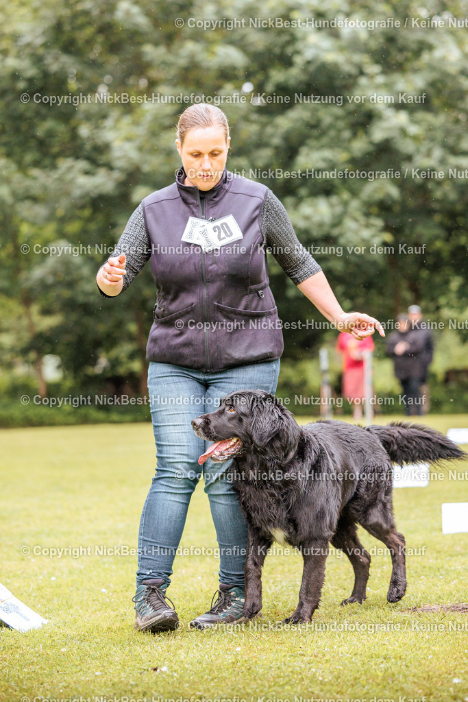 RO-Blumenthal-2026-Nickbest-Hundefotografie-0556 | Dein Hund! Dein Moment! Deine Erinnerungen! Hundefotografie in Bremen Blumenthal. Ich fange die besonderen Momente deines Vierbeiners ein – ob Indoor mit Blitzanlage oder in der freien Natur. Sicher dir dein Moment und dein Termin für eure Erinnerungen.
