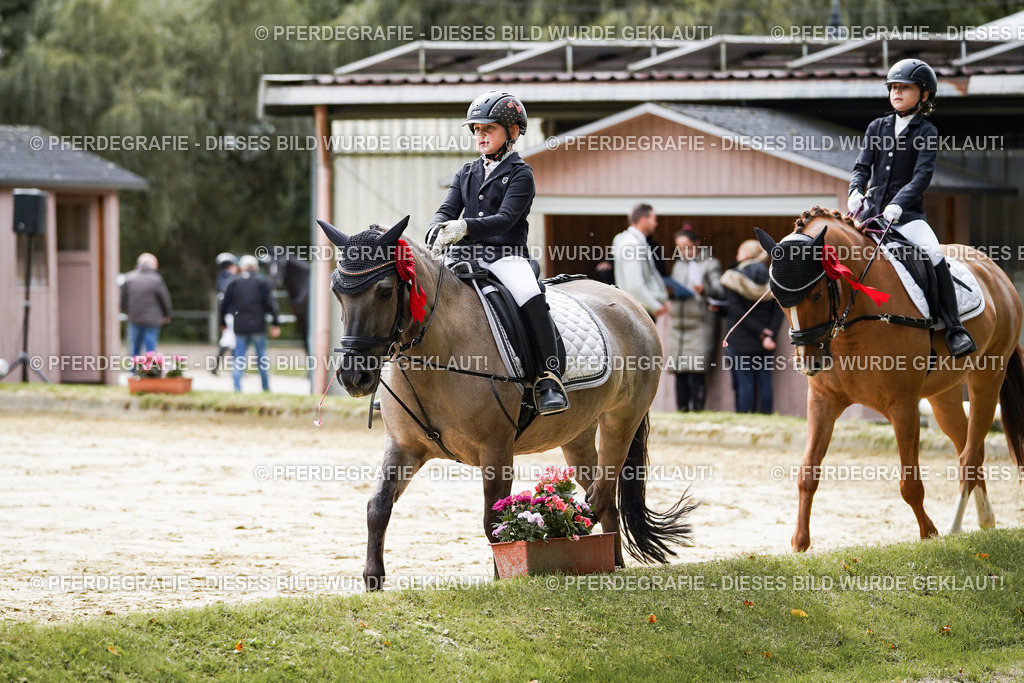 DSC05819 | Pferdegrafie