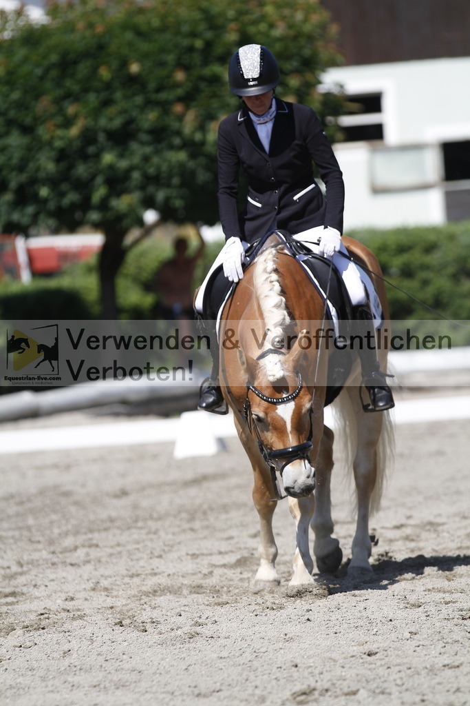 _MG_4184 | equestrian-live-com