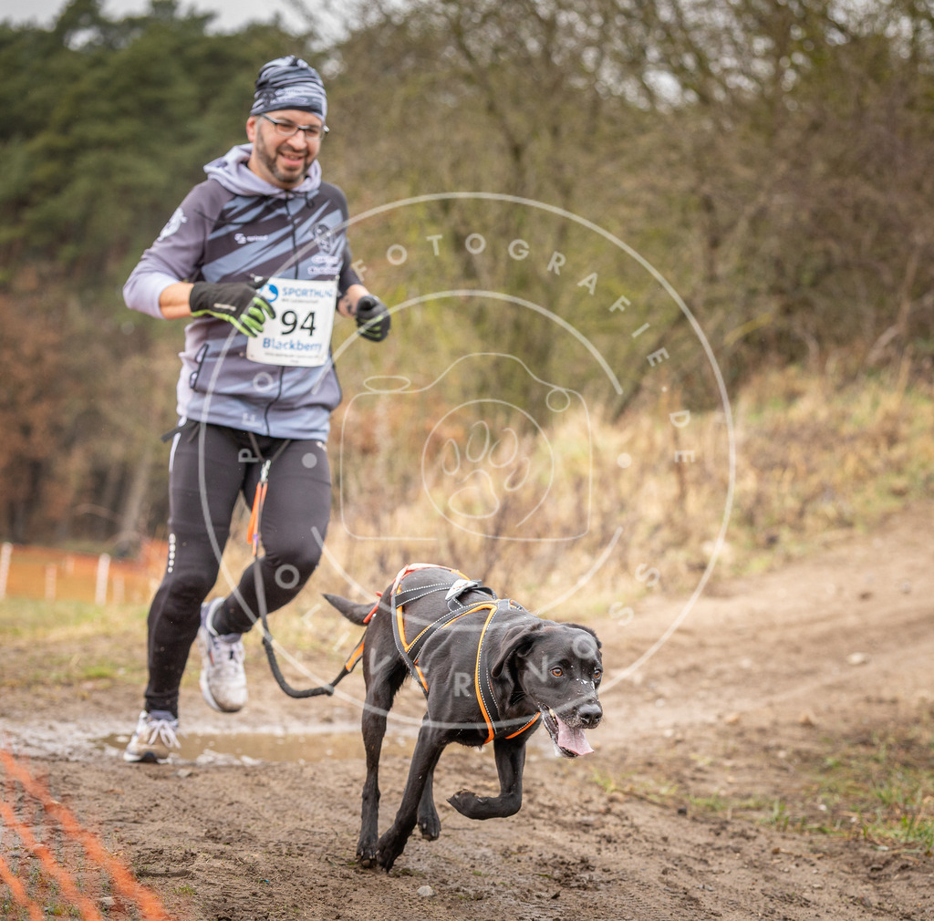 DV3A0515 | Hundefotografie, Tierfotograf, Pfotenfotografie, Fotoshooting Hund, Hunde Portrait, Hundesport, Hundeportraits, Heideshooting, Hunde, Sportfotograf, Hundefotograf, Turnierhundsport, THS,  - Realisiert mit Pictrs.com