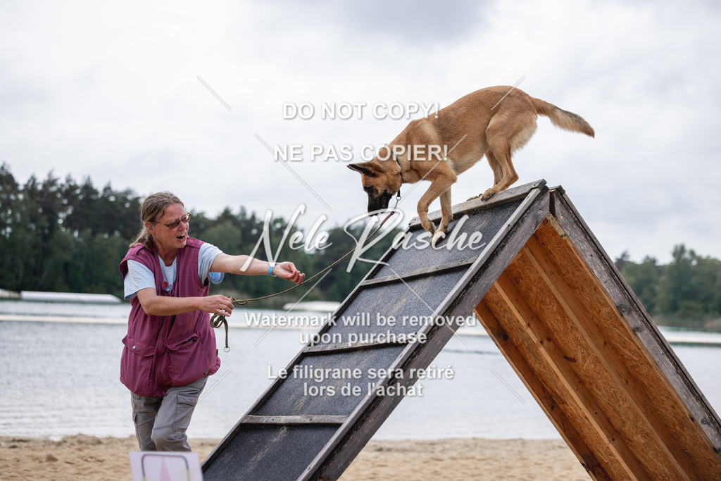 nelerasche_BuHu2026_So1530-Ende_88 | nelerasche