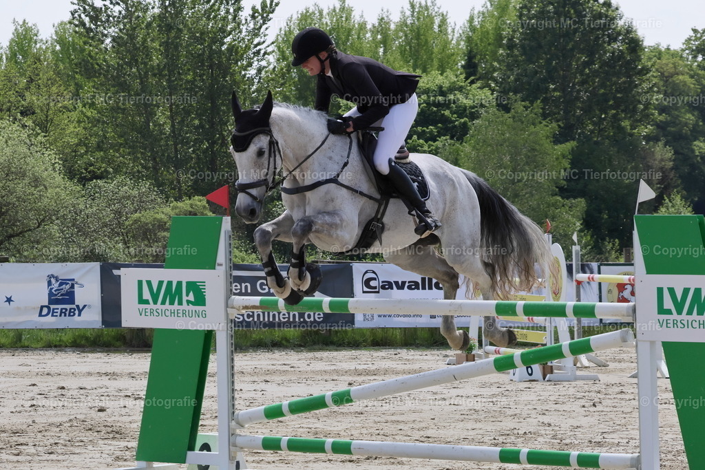 CCI3St.-SMuenstWestfMeist03052025MC3H5A4759B | Pferdefotos online bestellen - Realisiert mit Pictrs.com
