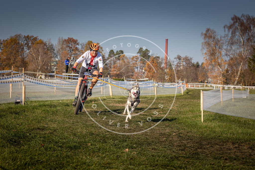 CaniXpix_0L8A8077 | Hundefotografie, Tierfotograf, Pfotenfotografie, Fotoshooting Hund, Hunde Portrait, Hundesport, Hundeportraits, Heideshooting, Hunde, Sportfotograf, Hundefotograf, Turnierhundsport, THS,  - Realisiert mit Pictrs.com