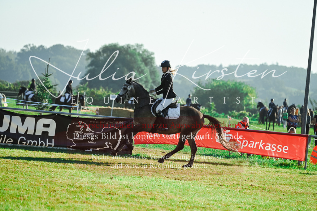 DSC_4460 | Pferde- und Turnierfotografie in Westsachsen. Pferdeportraits, Auftragszeichnungen und intuitive Kunst.