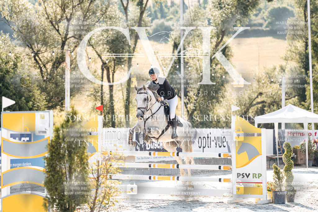 CK907533 | Turnierfotografie Pferdefotografie Trier Rheinland-Pfalz Pferdesport Reitsport Tierfotografie Sportfotografie Pferdevideo Pferdevideografie Equestrianvideography equestrianphotography  - Realisiert mit Pictrs.com