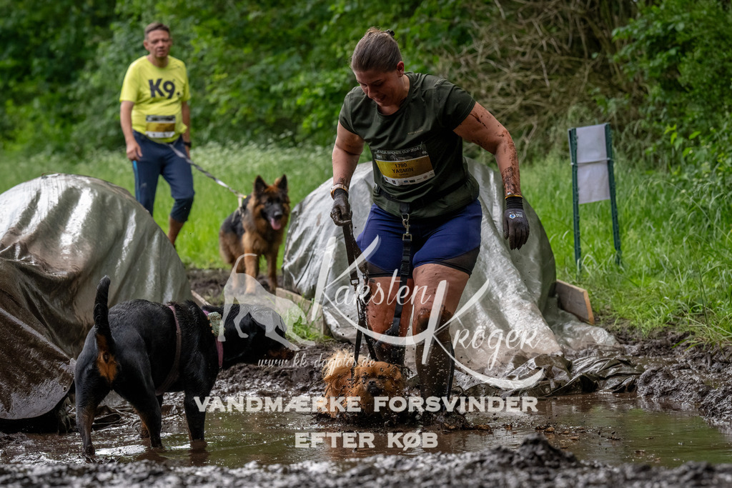 1511_ZZ92241-Bearbeitet | kk-dogfotos