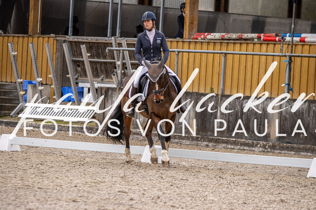 IMG_2699 | Erleben Sie dynamische Sport- und emotionale Tierfotografie in Süddeutschland mit Fotos von Paula. Spezialisiert auf Pferde- und Hundefotografie sowie Sportevents. Kontaktieren Sie mich für einzigartige und ausdrucksstarke Bilder Ihrer besonderen Momente. - Realisiert mit Pictrs.com