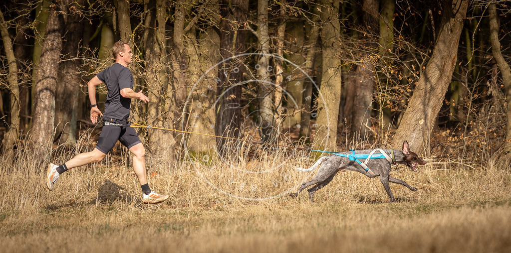 DV3A4955 | Hundefotografie, Tierfotograf, Pfotenfotografie, Fotoshooting Hund, Hunde Portrait, Hundesport, Hundeportraits, Heideshooting, Hunde, Sportfotograf, Hundefotograf, Turnierhundsport, THS,  - Realisiert mit Pictrs.com