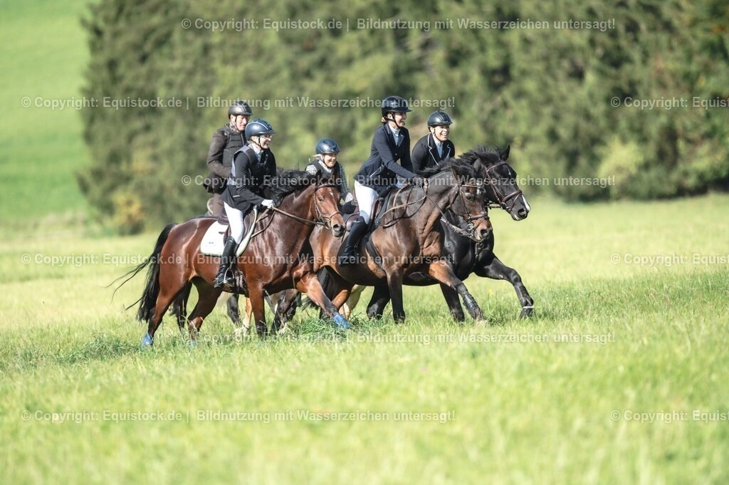 20251011_Jagd-Marbach_0263 | Foto: Thomas Hartig