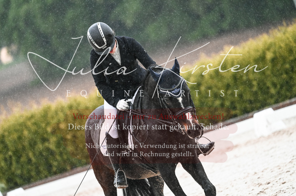 DSC_4684 | Pferde- und Turnierfotografie in Westsachsen. Pferdeportraits, Auftragszeichnungen und intuitive Kunst.