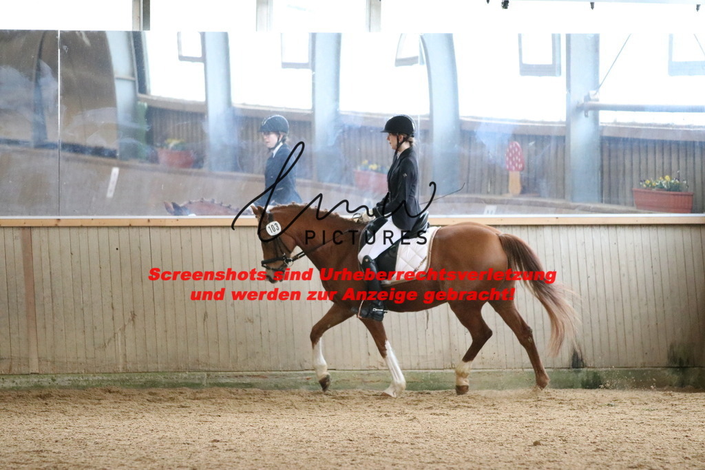 IMG_6937 | lmwpictures - Realisiert mit Pictrs.com