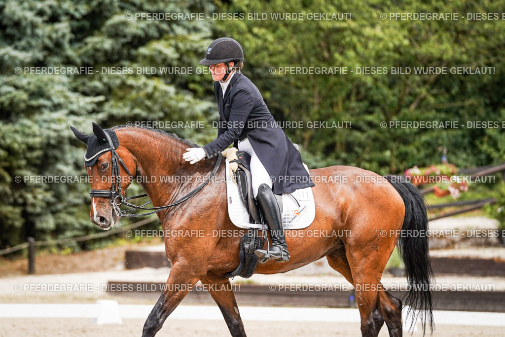 DSC06694 | Pferdegrafie