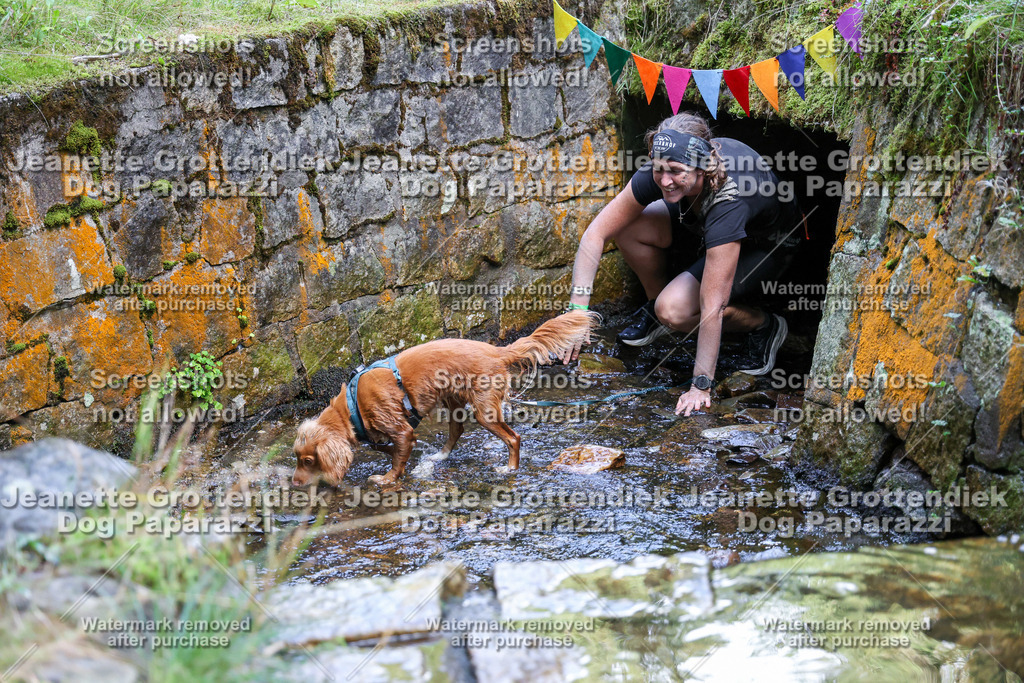 Dog Paparazzi -  TH 26-575 | Dog Paparazzi Jeanette Grottendiek Fotografie & Videografie - Realisiert mit Pictrs.com