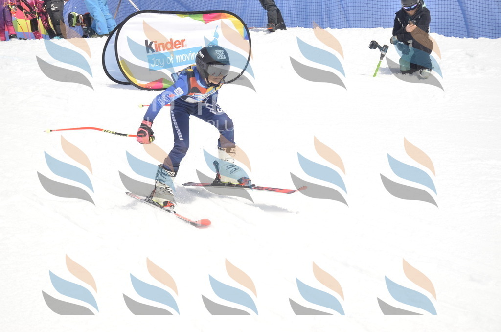 _ELE8812 | holidayphoto