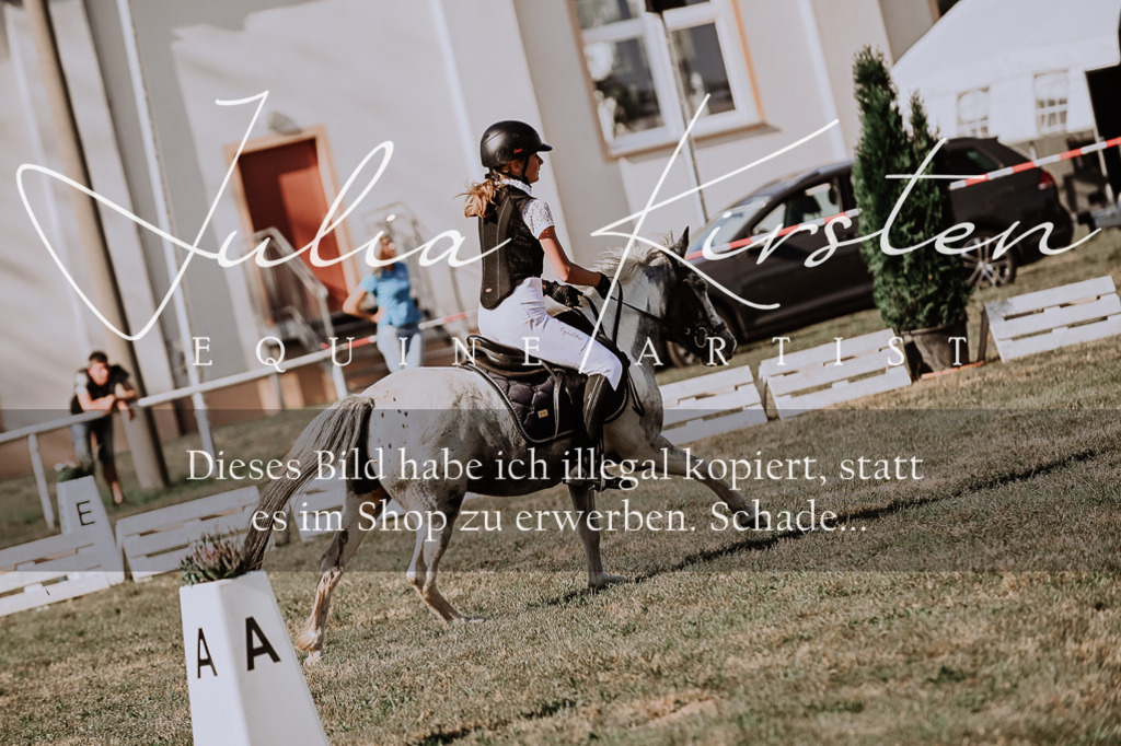 DSC_9435 | Pferde- und Turnierfotografie in Westsachsen. Pferdeportraits, Auftragszeichnungen und intuitive Kunst.
