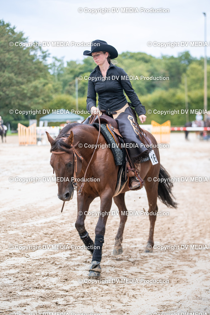 ZS2_4438 | dv-media-shop - Realisiert mit Pictrs.com