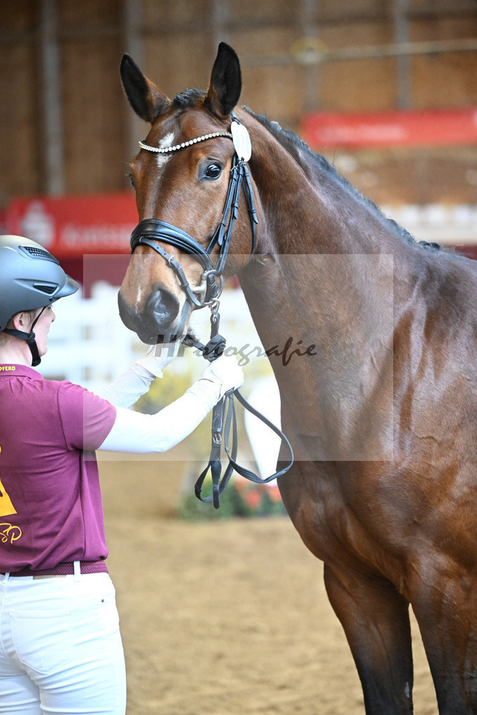 Kat-Nr. 10 Tessa tanzt v. Toto Jr_8 | hf-fotografie - Realizzato con Pictrs.com