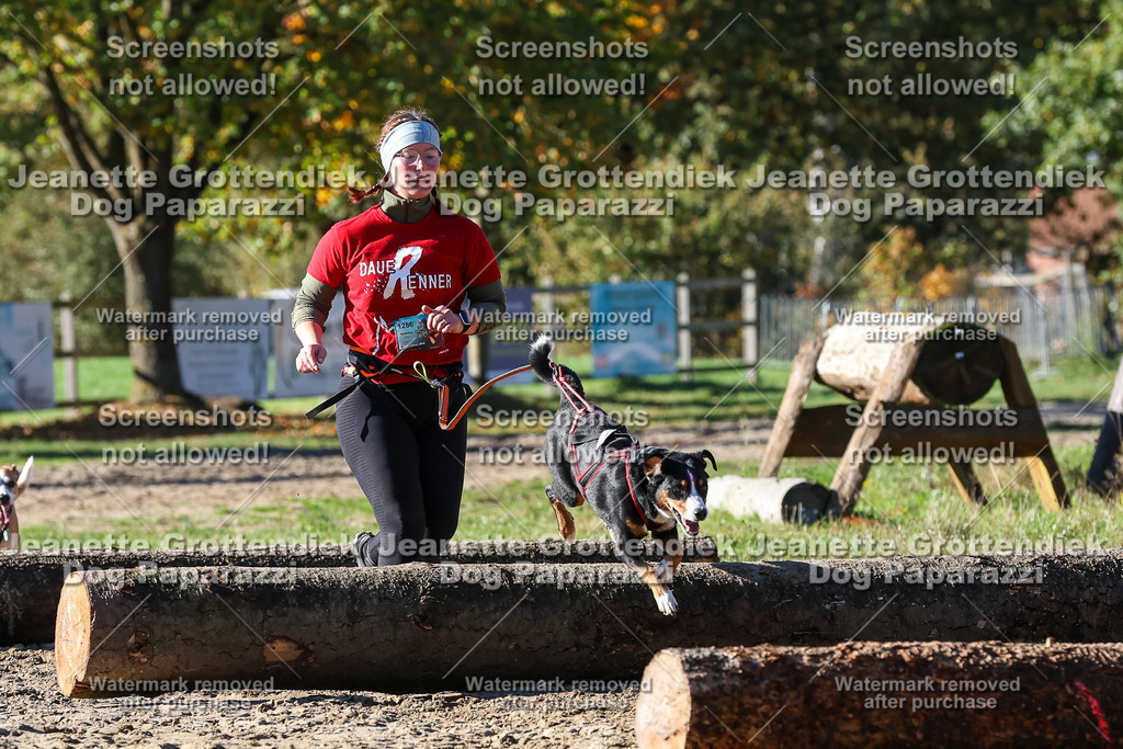 Dog Paparazzi - Strongdog 10-25-2217 | Dog Paparazzi Jeanette Grottendiek Fotografie & Videografie - Realisiert mit Pictrs.com
