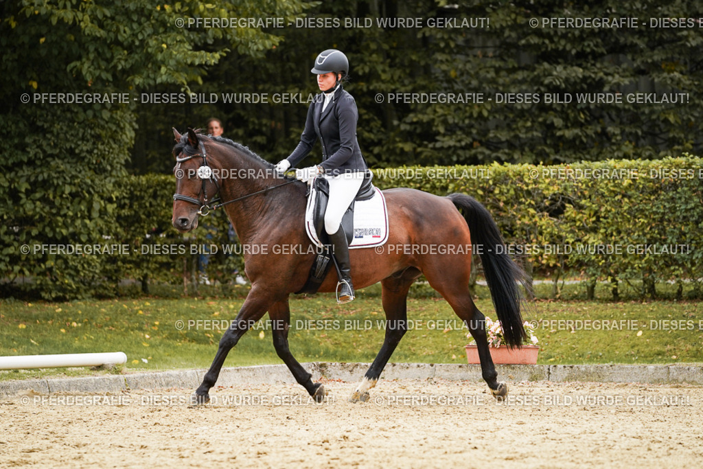 DSC09944 | Pferdegrafie