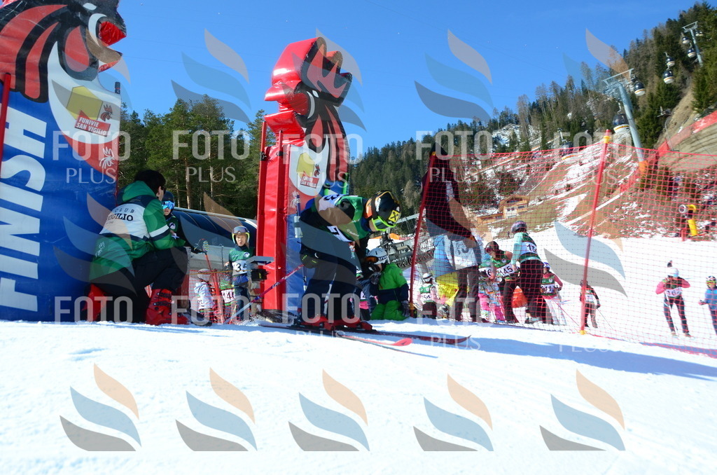 C5978 | holidayphoto