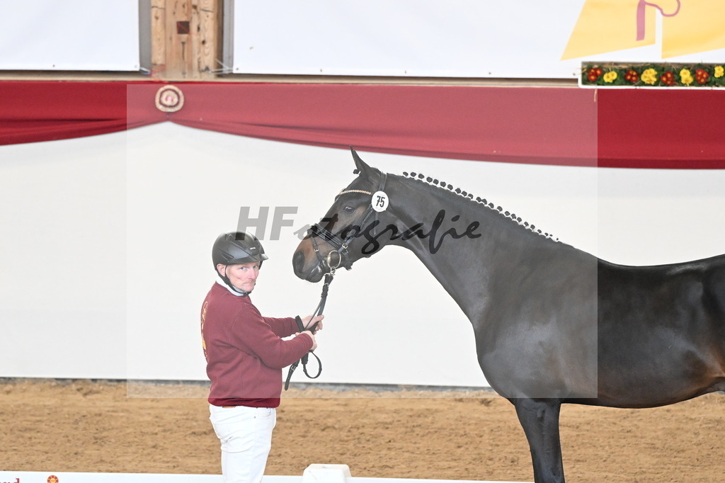Kat.-Nr. 75 v. Santos_Greim_2250828 | hf-fotografie - Realisiert mit Pictrs.com