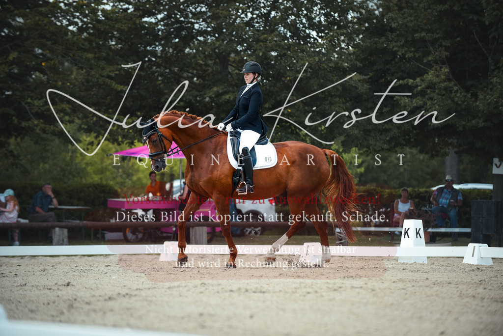 DSC_9130 | Pferde- und Turnierfotografie in Westsachsen. Pferdeportraits, Auftragszeichnungen und intuitive Kunst.