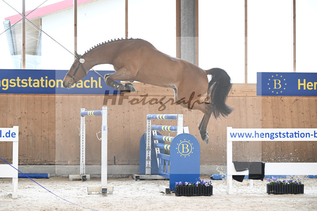 Kat-Nr. 38 Valerio B v. Vingino_Hofer_7240383 | hf-fotografie - Realisiert mit Pictrs.com