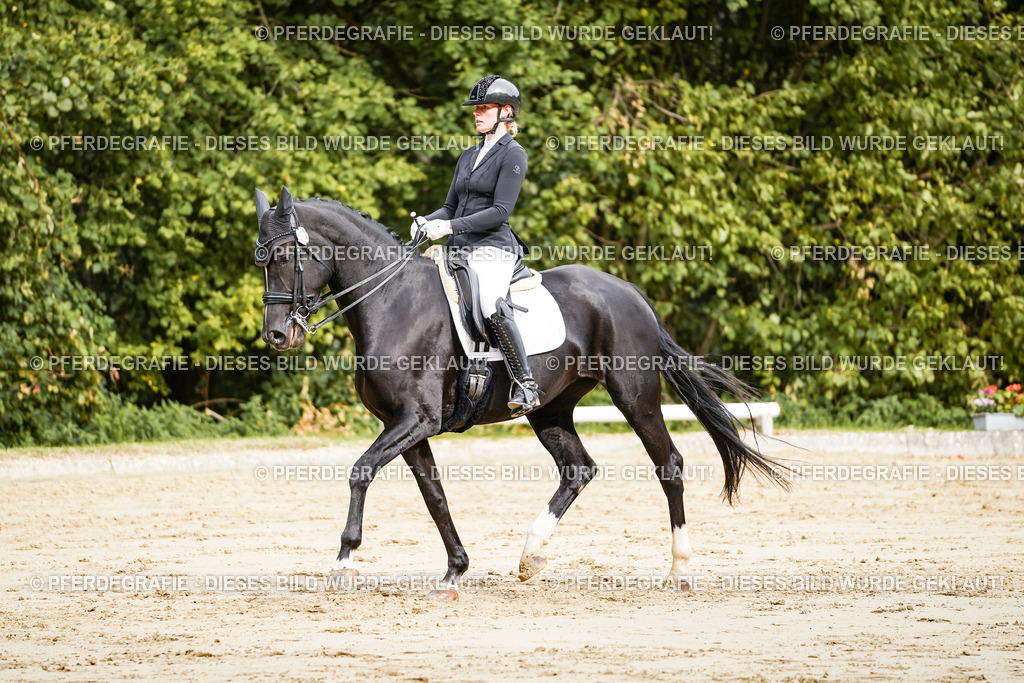 DSC03404 | Pferdegrafie