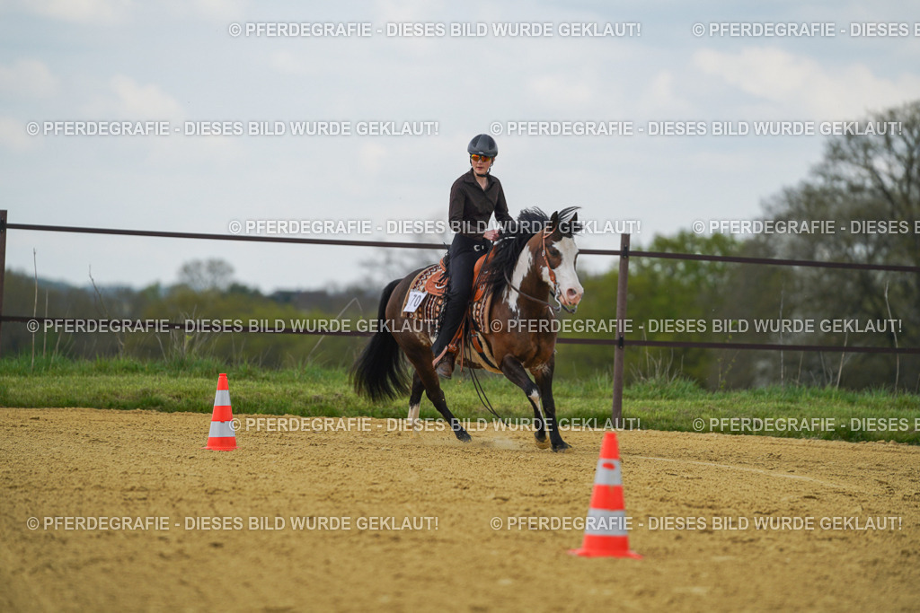 DSC06175 | Pferdegrafie