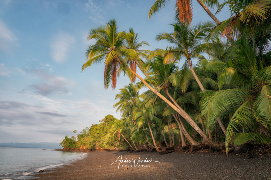 Tropenmorgen am Strand | Andre Wandrei - Nature Artworx - Realisiert mit Pictrs.com