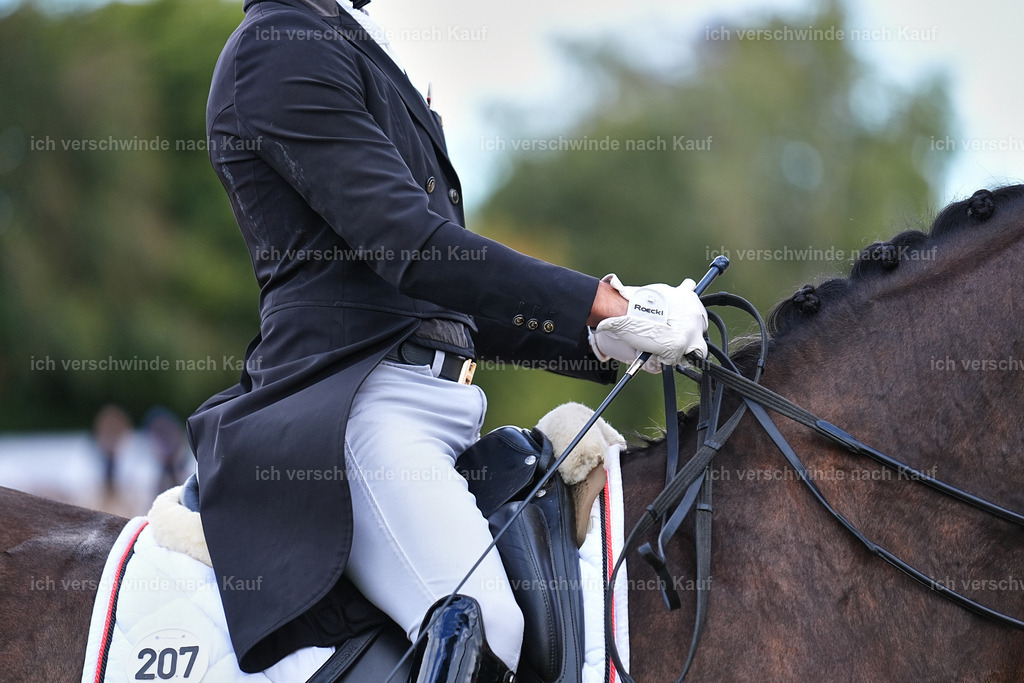 10-207-ST.GEORG SPECIAL -Marixx-3394 | working equitationturnier fotograf videograf stoibphotography marixx film working equitation deutschland reitsport turnierfotografie eventfotografie equestrian events