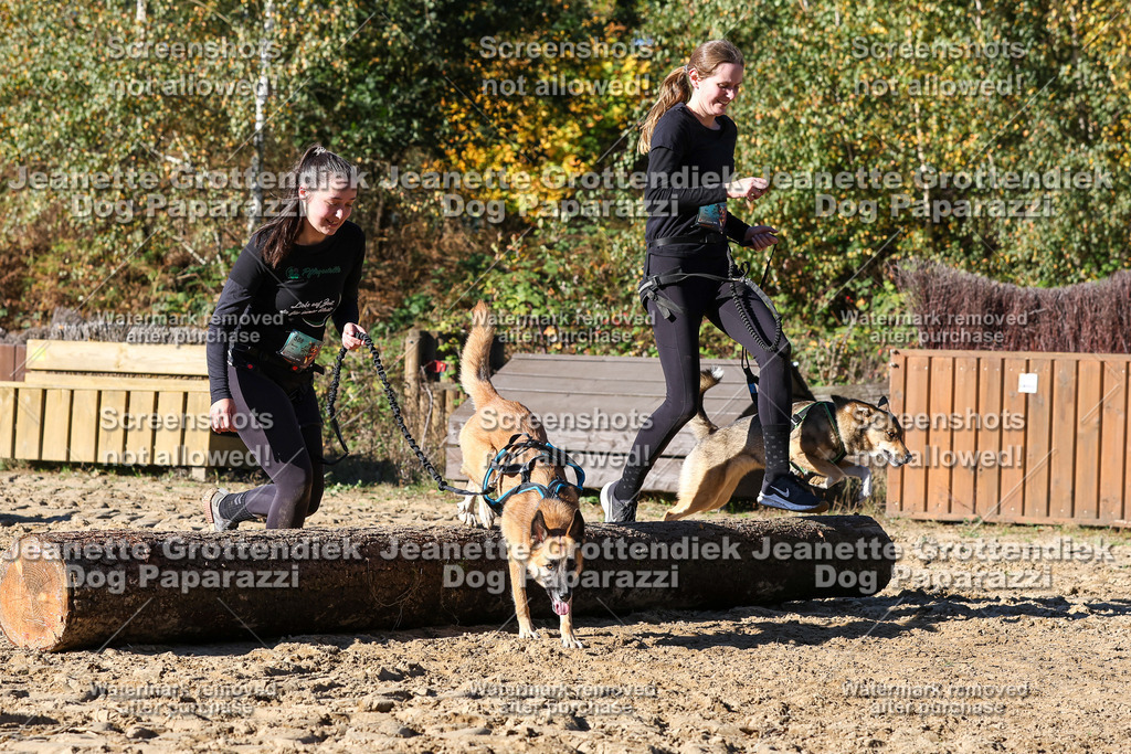 Dog Paparazzi - Strongdog 10-25-2383 | Dog Paparazzi Jeanette Grottendiek Fotografie & Videografie - Realisiert mit Pictrs.com