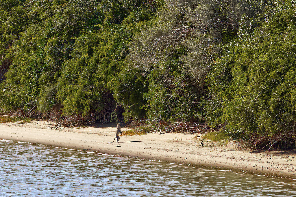 1H5A1661 | ansichtssache