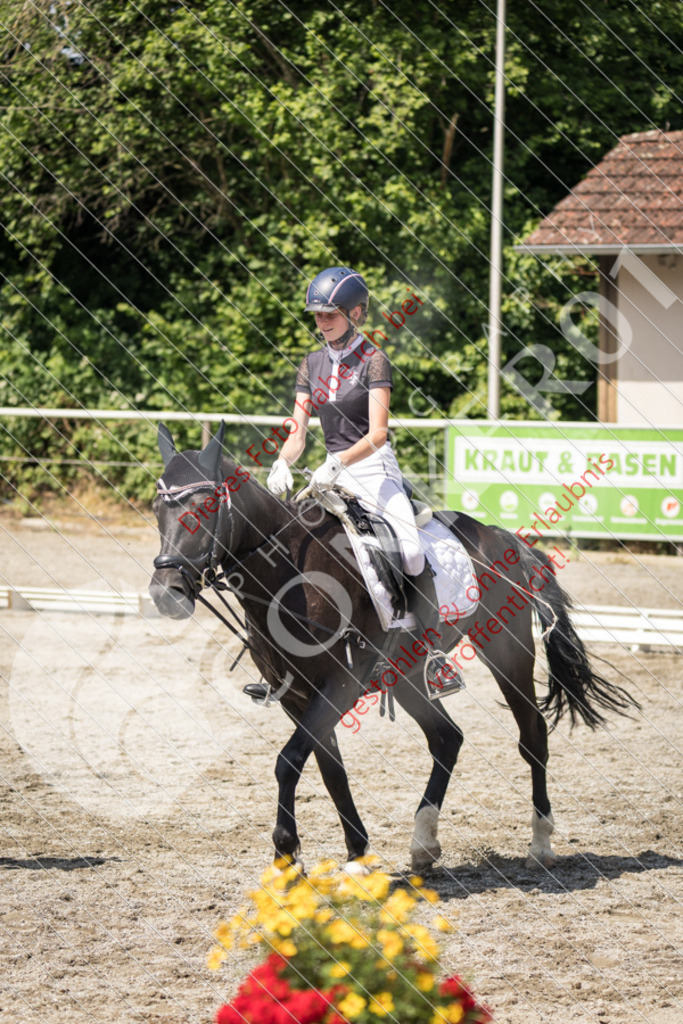 IMG_4707 | Sport-, Event- und Tierfotos in Profiqualität. Einfach auswählen, bestellen und herunterladen. Dein Moment – perfekt festgehalten.
