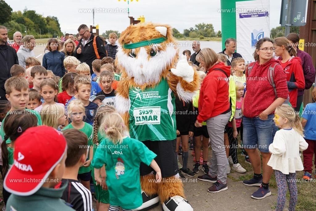 DSC05044 | Lichterlauf  - Realisiert mit Pictrs.com